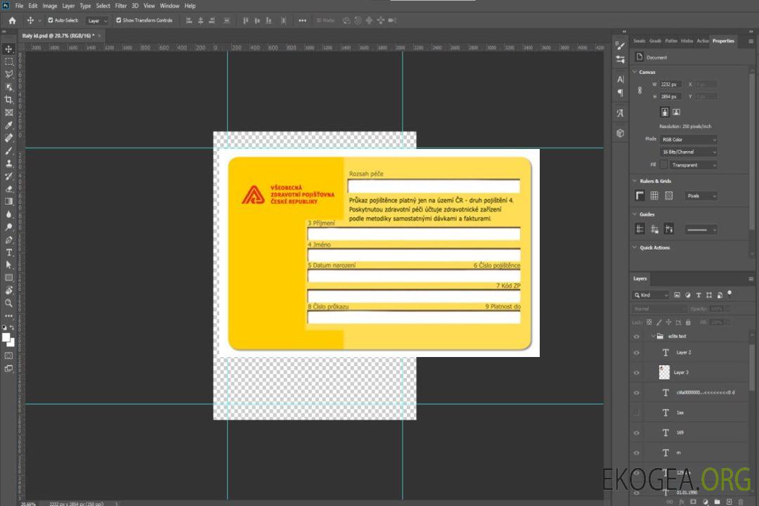 Carte d'assurance maladie de la République tchèque template